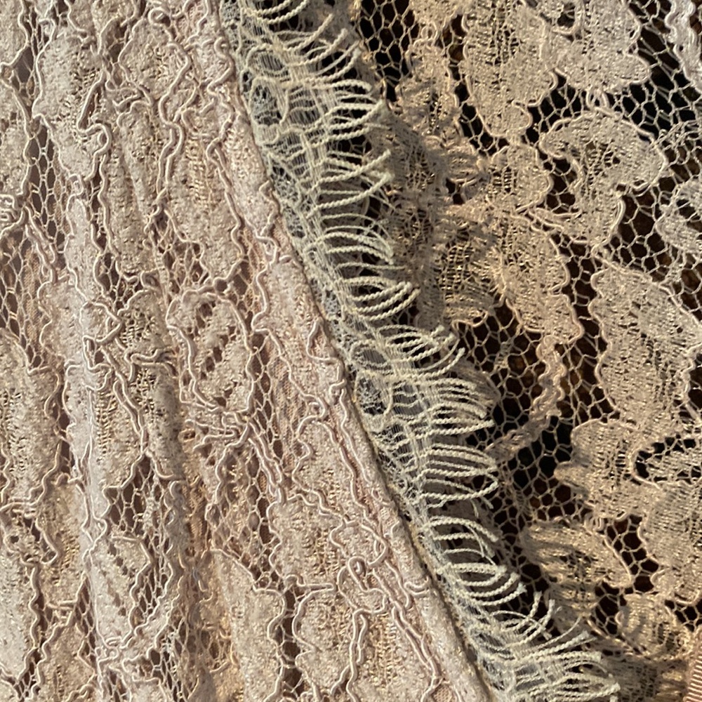Aritzia Babaton Lace Dress size 0 - Picture 4 of 8